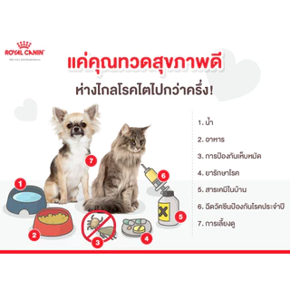 Royal Canin VET Early Renal 3.5 กก. อาหารแมวโรคไต (ระยะเริ่มต้นหรือมีความเสี่ยงที่จะเป็น) 3.5 กก.