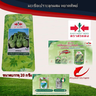 เมล็ดพันธุ์ มะเขือเปราะหยาดทิพย์  20g