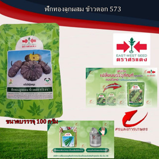 เมล็ดพันธุ์ ฟักทองลายข้าวตอก573 100g แถมฟรีกูซิก้าจีซองเล็ก