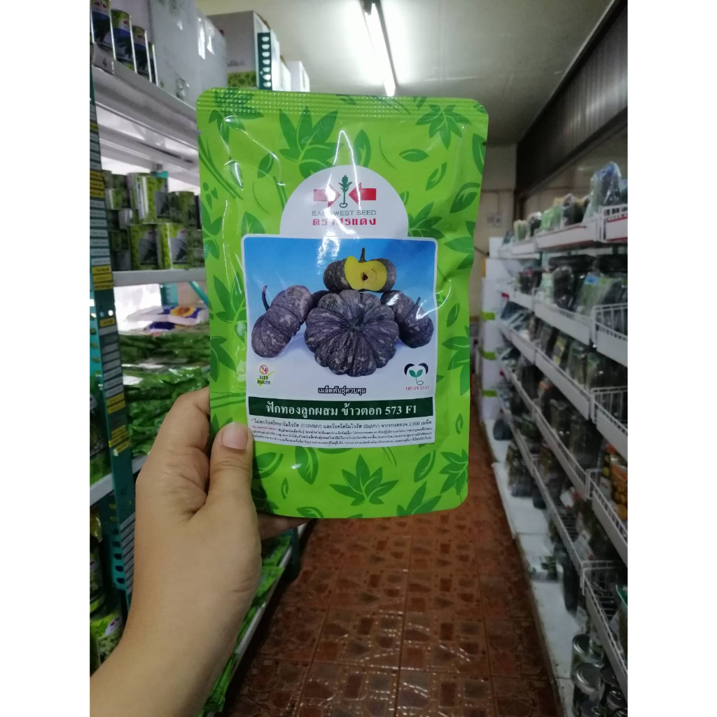 เมล็ดพันธุ์ ฟักทองลายข้าวตอก573 100g
