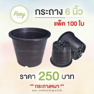 กระถางต้นไม้ 6 นิ้ว แบบกลม แพ็ค 100 ใบ