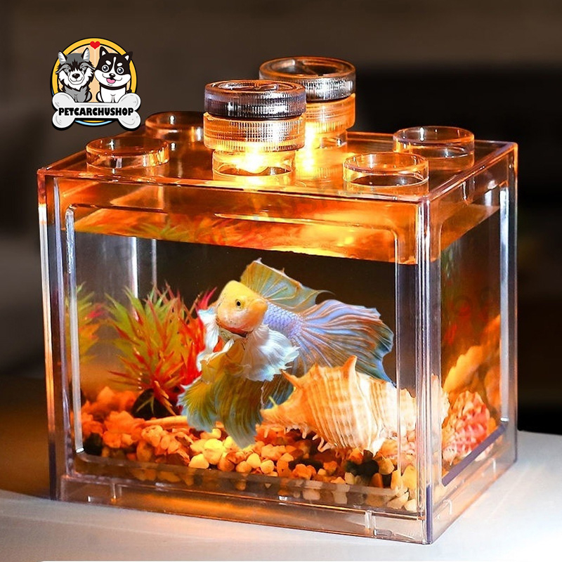 ตู้ปลา สามารถจับคู่กับไฟ LED  เหมาะสำหรับเลี้ยงปลากัด มี3สีให
