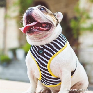 ISPET - Basic Dog Harness เสื้อรัดอกสุนัข รัดอกสุนัขและแมว