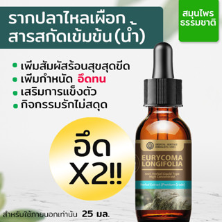 รากปลาไหลเผือก สารสกัดสมุนไพร Eurycoma Longifolia, Tongkat Ali Extracted เข้มข้น (ชนิดน้ำ) ขนาด 25 มล.