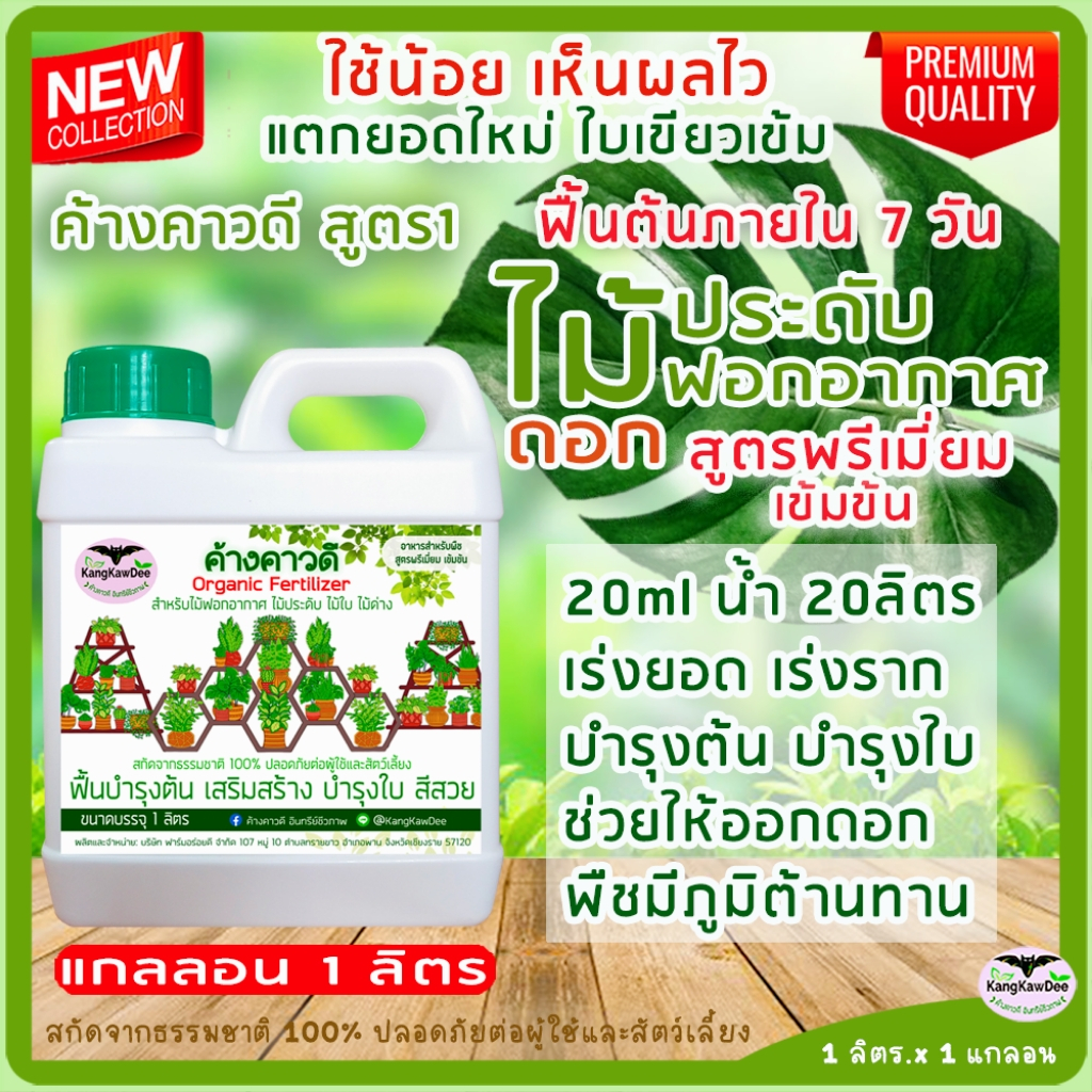 F1O-1L ปุ๋ยไม้ใบ ไม้ประดับ ไม้ด่าง ไม้ฟอกอากาศ 1ลิตร ค้างคาวดี(ของแท้) บำรุงต้นใบ แก้ใบเหลือง ใบเล็ก