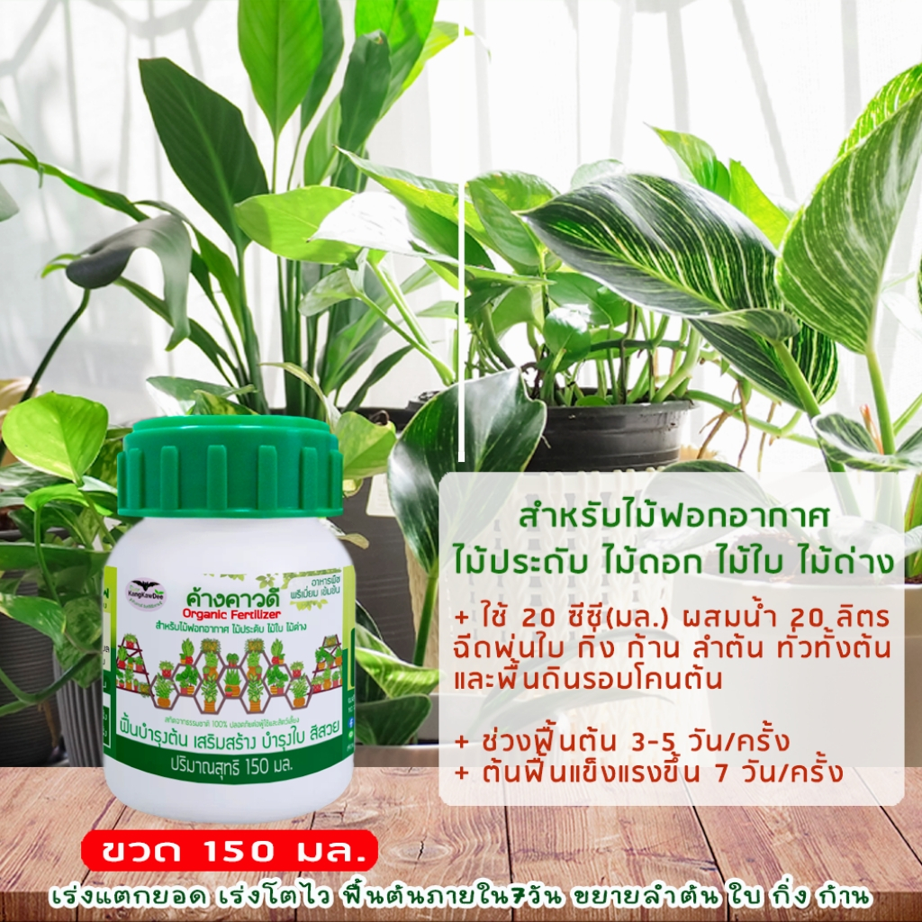ปุ๋ยไม้ใบ ไม้ประดับ ไม้ด่าง ไม้ฟอกอากาศ ค้างคาวดี(ของแท้)150มล บำรุงต้นใบ แก้ใบเหลือง F1O-150ML - รูปที่ 3