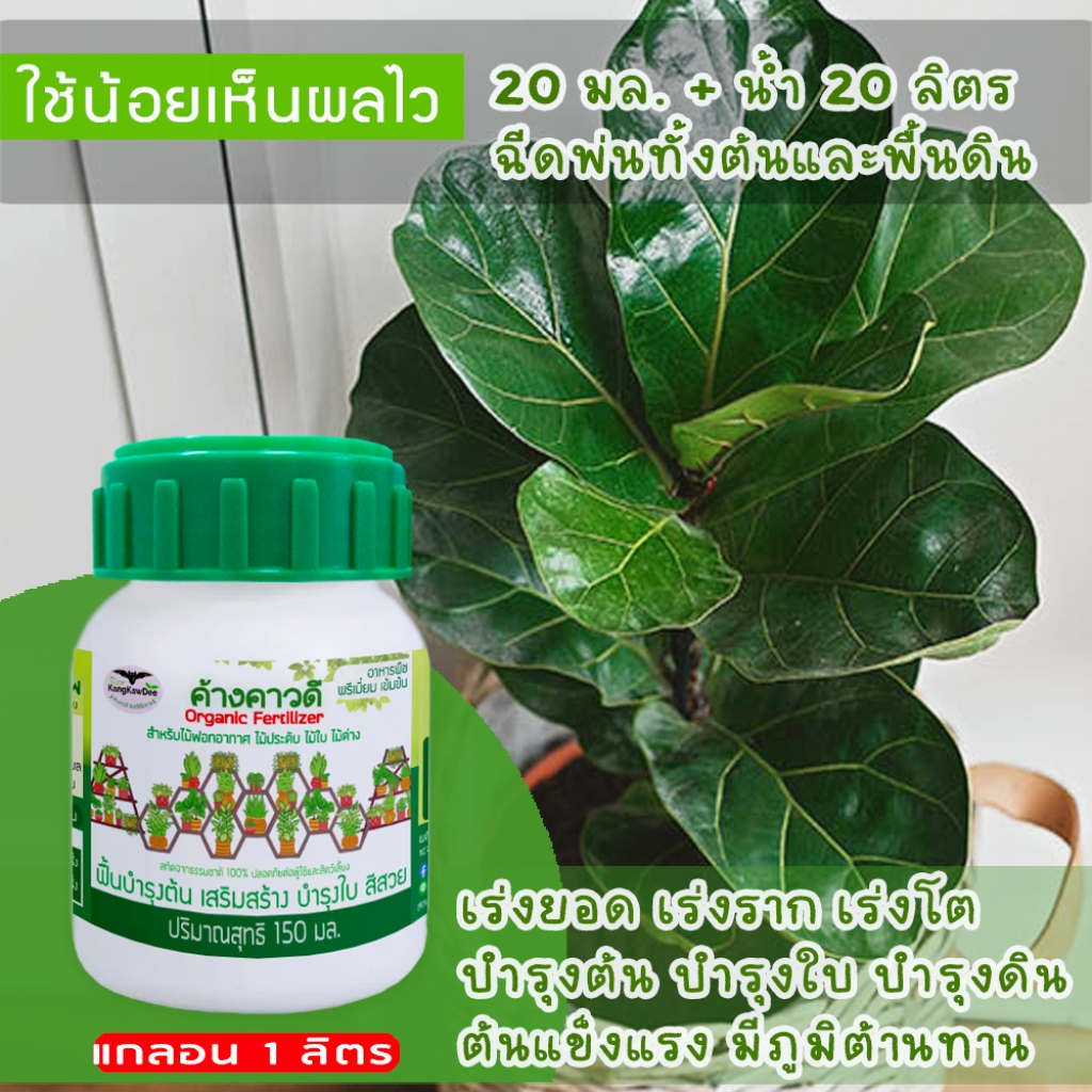ปุ๋ยไม้ใบ ไม้ประดับ ไม้ด่าง ไม้ฟอกอากาศ ค้างคาวดี(ของแท้)150มล บำรุงต้นใบ แก้ใบเหลือง F1O-150ML - รูปที่ 4