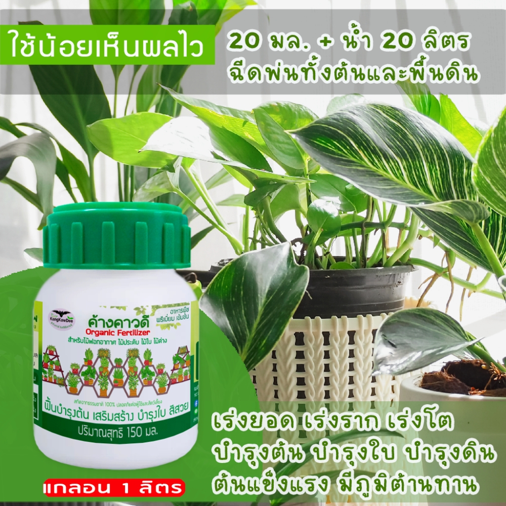 ปุ๋ยไม้ใบ ไม้ประดับ ไม้ด่าง ไม้ฟอกอากาศ ค้างคาวดี(ของแท้)150มล บำรุงต้นใบ แก้ใบเหลือง F1O-150ML - รูปที่ 5