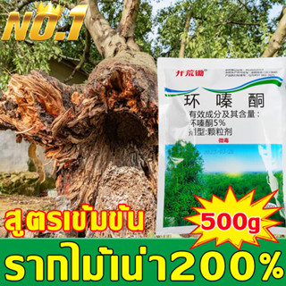 ยาฆ่าต้นไม้ ใหญ่ สารกําจัดกอไผ่ 500g กำจัดต้นไม้และไผ่ ให้หมดจดยาฆ่ากอไผ่ ยาฆ่าตอไม้ สารกำจัดต้นไผ่