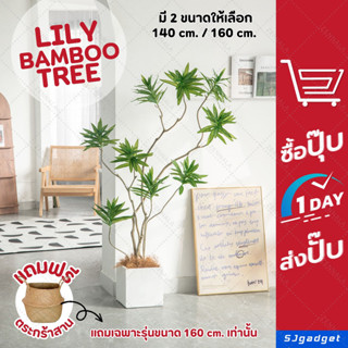 ✨พร้อมส่ง✨ ต้น Llly Bamboo 140 cm / 160 cm  ต้นไม้แต่งบ้าน 🌳 ต้นไม้ปลอม (ฟรีตะกร้าสาน)