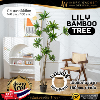 ✨ส่งจากกทม✨ ต้น Llly Bamboo 140 cm / 160 cm  ต้นไม้แต่งบ้าน ต้นไม้ปลอม (แถมฟรีตะกร้าสาน)