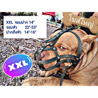ตะกร้อสุนัข สีเขียวขี้ม้า S M L XL XXL
