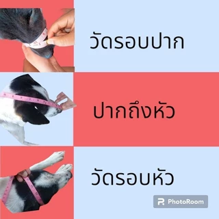 ตะกร้อสุนัข สีเขียวขี้ม้า S M L XL XXL