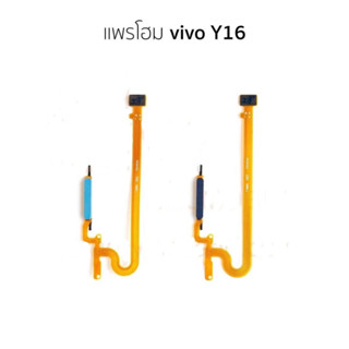 แพสแกนนิ้ว VIVO Y16 ชุดแพสแกนนิ้วVIVO Y16