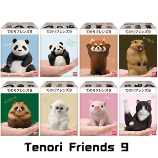 (7 แบบพร้อมส่ง) Model Bandai Tenori Friends 9 โมเดลแพนด้า แพนด้าแดง แพรรีด็อก ทานูกิ ลิงมาโมเสท หมู แมว