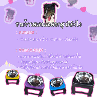 ชามอาหารหมาสแตนเลสเพื่อสุขภาพลดปัญหาเกี่ยวกับคอและหลังชามอาหารสัตว์ปลอดภัยล้างง่ายส่งไวมีเก็บปลายทางสั่งเลย