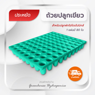 ถ้วยปลูกผักไฮโดรโปนิกส์ สีเขียว 1 แผ่น มี 80 หลุมปลูก