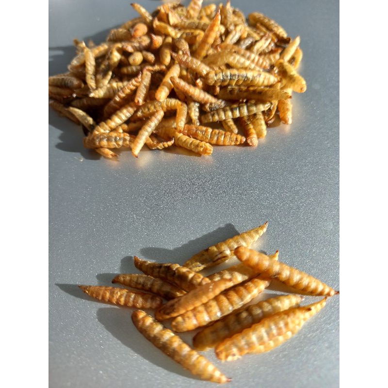 หนอน BSF อบแห้งทั้งตัว/Pop-whole dried BSF larvae