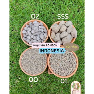 หินภูเขาไฟ LOMBOK (Pumice Stone) 1 กิโลกรัม , วัสดุปลูกแคคตัส กระบองเพชร