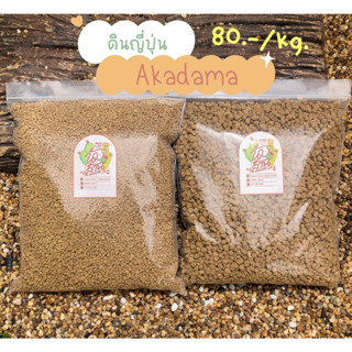 ดินญี่ปุ่น อะคาดามะ AKADAMA SOIL ถุงละ 1 kg. ใช้โรยหน้ากระบองเพชร ไม้อวบน้ำ