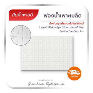 ฟองน้ำเพาะเมล็ด ปลูกผักไฮโดรโปนิกส์ เนื้อละเอียด(มีขอบ) 1 แผ่น