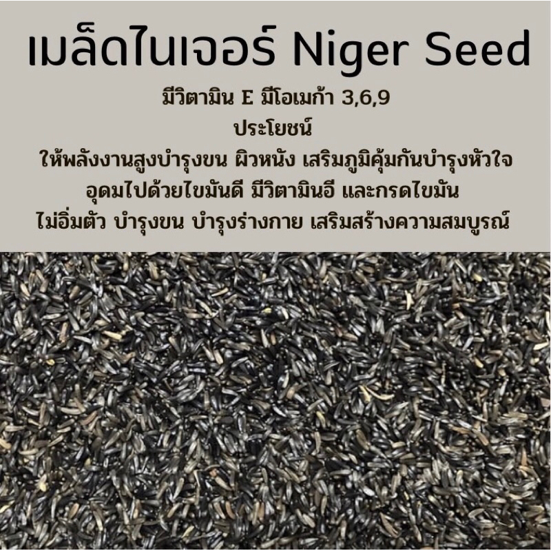 #เมล็ดไนเจอร์
#อาหารนก
#ธัญพืชสำหรับนก
#วิตามินอี
#โอเมก้า369