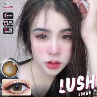 บิ๊กอายส์ตาโต ตาคม Lush brown น้ำตาลตาโตคม สวย winklens