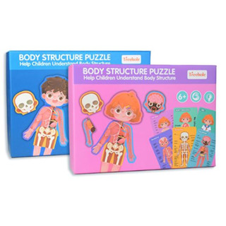 👫Body Structure Puzzle ตัวต่อร่างกายพร้อมการ์ด 👂👀🧠🦴 เรียนรู้อวัยวะภายนอก  ภายใน กระดูก โครงสร้างของร่างกาย