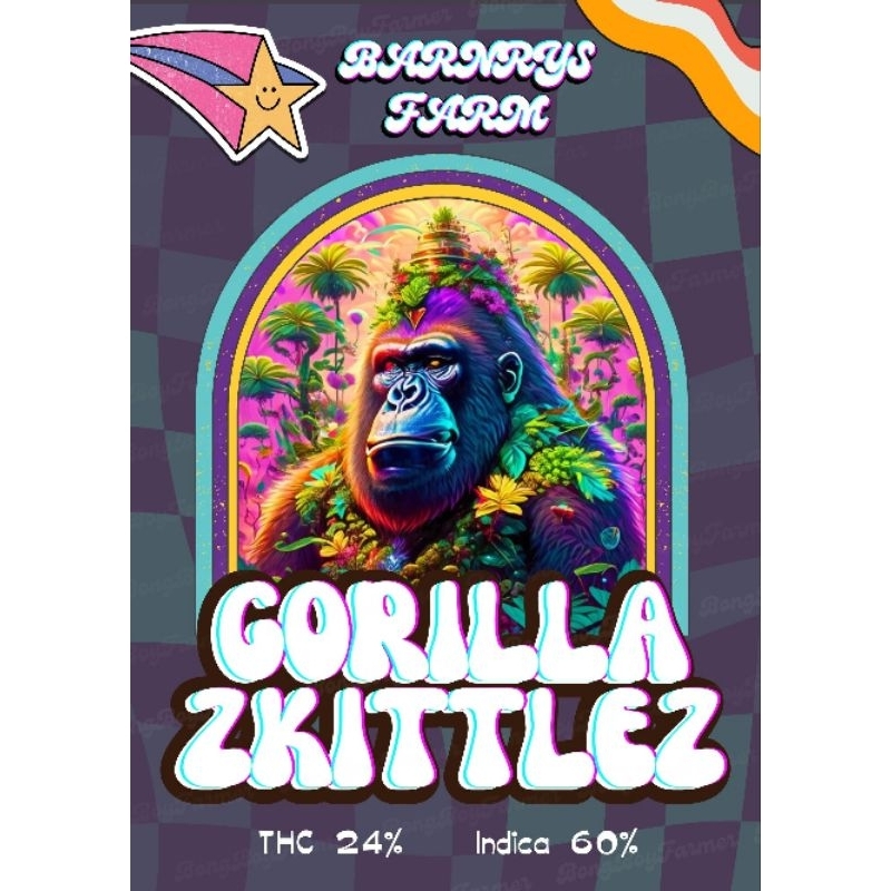 Gorilla Zkittlez (Barneys farm)