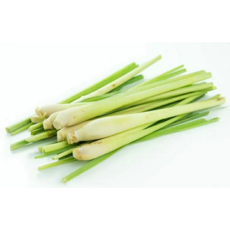 สเปรย์กันยุงตะไครหอม สมุนไพรกันยุง 100 ml. ขวดละ 29 บ. - รูปที่ 2