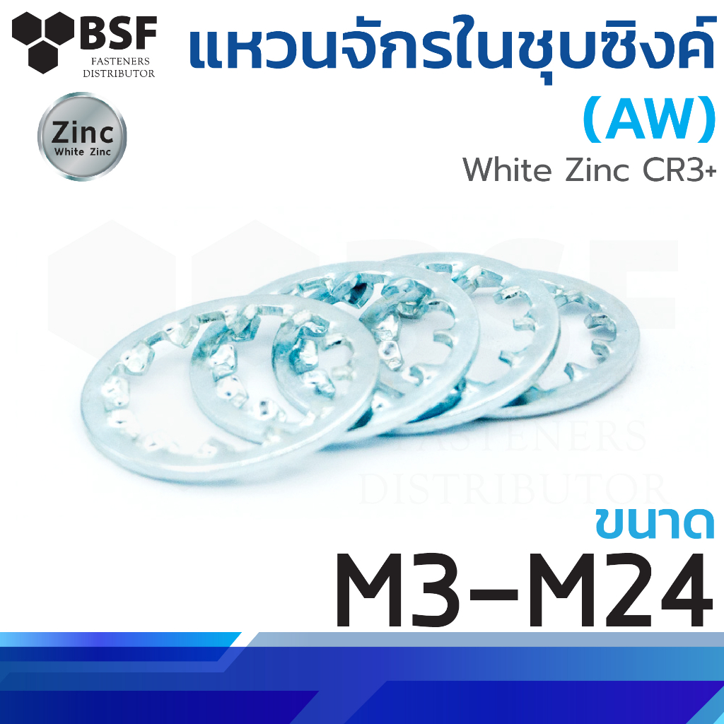 แหวนจักรใน ชุบซิงค์ (AW) ขนาด M3-M24