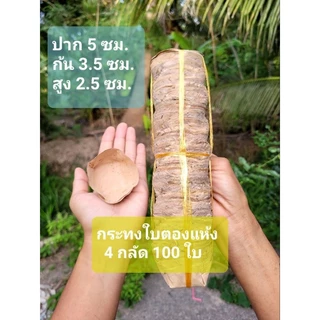 《พร้อมส่ง》กระทงใบตองแห้ง กระทงใบตอง 4กลัด 100ใบ