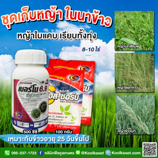 กำจัดหญ้า เบอร์โน 500 ซีซี+เอสซอร์บ 2 ซอง ฆ่าวัชพืชใบแคบได้หลายชนิด เร่งการดูดซึม คูลเกษตร KP51