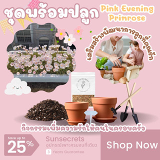 ☀️sunsecrets🍀 ชุดพร้อมปลูกPink Evening Pinkrose ดอกไม้สุดน่ารักที่มือใหม่ก็เพาะได้ ช่วยเพิ่มกิจกรรมในครอบครัวได้อย่างดี