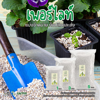 เพอร์ไลท์(Perlite) แบ่งขายถูกๆ ! วัสดุปลูก เพิ่มความโปร่งและเพิ่มปริมาณอากาศในดิน แบ่งขาย 1ลิตร  แคคตัส ไม้อวบน้ำ ไม้ฟอก