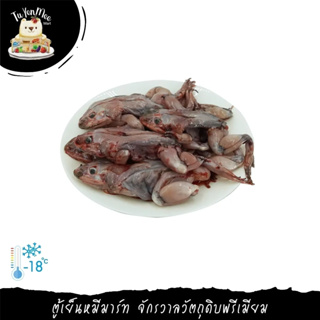 1KG/PACK FROG SKIN PEELED WHOLE กบสดลอกหนัง (ทั้งตัว)