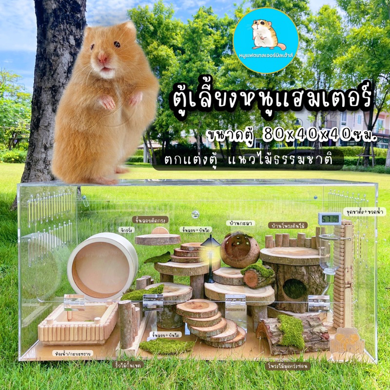 กรงอะคริลิค🐹สำหรับเลี้ยงหนู ขนาด80ซม. แฮมเตอร์ แฟตเทลเจอร์บิล/ตู้อะคริลิค บ้านสัตว์เลี้ยง กรงหนู งาน