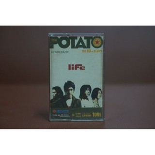 โปเตโต้ Potato อัลบั้ม life