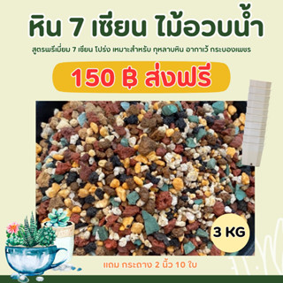 หิน 7 เซียน 3 กิโล แถมกระถาง 2นิ้ว 10ใบ