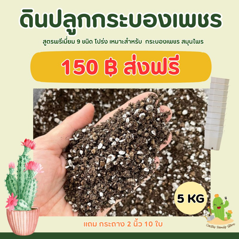 ดินปลูกกระบองเพชร 5กิโล แถมกระถาง 3นิ้ว 5ใบ