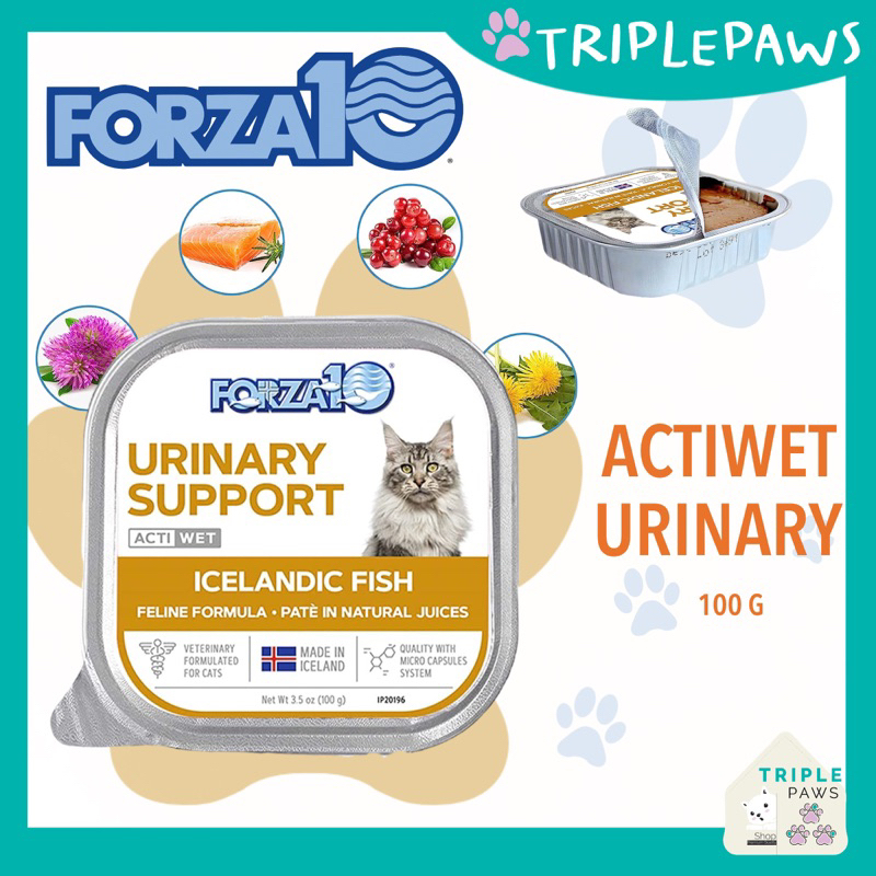 (พร้อมส่ง)อาหารเปียกโรคนิ่ว Forza10 NUTRACEUTIC ACTIWET URINARY SUPPORT FISH RECIPE ขนาด 100 g