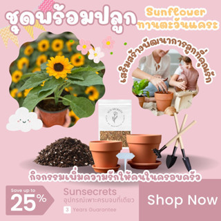 ☀️sunsecrets🍀 ชุดพร้อมปลูกเมล็ดทานตะวันแคระ(Sunflower)