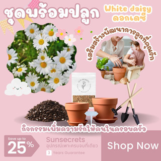 ☀️sunsecrets🍀 ชุดเพาะเมล็ดดอกเดซี่(White daisy) สุดคุ้ม!