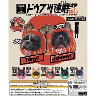 พร้อมส่ง ของแท้ Animal Daruma Special Johny &amp;Tony