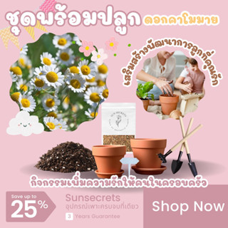 ☀️sunsecrets🍀 ชุดพร้อมปลูกเมล็ดดอกคาโมมายสุดน่ารัก