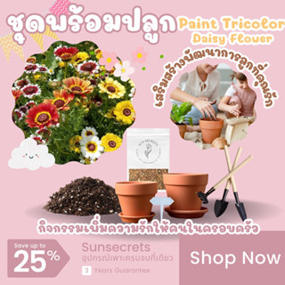 ☀️sunsecrets🍀 ชุดพร้อมปลูกเมล็ดดอกเดซี่3สี(Paint Tricolor Daisy Flower)