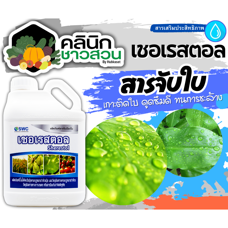 เชอเรสตอล (สารจับใบลดแรงตึงผิว) บรรจุ 5ลิตร ช่วยเกาะติด