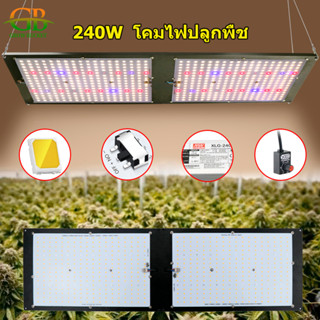 [สินค้าสปอต! การจัดส่งอย่างรวดเร็ว] โคมไฟพืช LED, ชิป Samsung LM301H, สเปกตรัม 2400W, แสงพลังงานแสงอาทิตย์ที่ปลูกแสงเร็ว