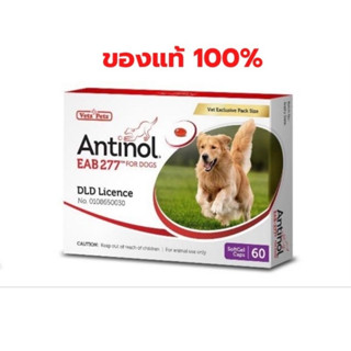 Antinol DOG ช่วยบำรุงข้อ กระดูก ขน ผิวหนัง และไต(1 กล่อง 60 caps) สำหรับสัตว์เลี้ยง EXP.03/2025