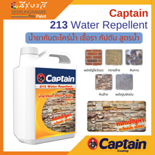 Captain  213 Water Repellent น้ำยากันตะไคร่น้ำ เชื้อรา 213 กัปตัน สูตรน้ำ